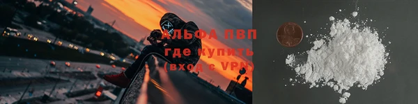 молекула духа Вязники