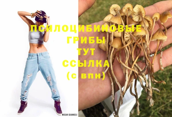 молекула духа Вязники