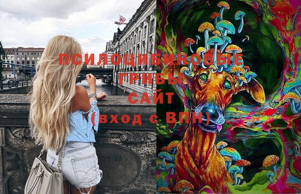 хмурый Горнозаводск
