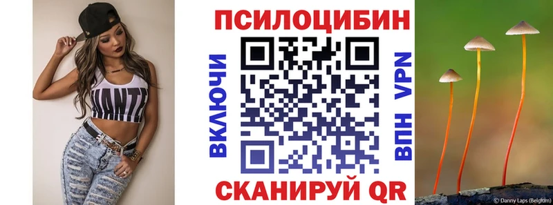 Псилоцибиновые грибы Psilocybe  darknet как зайти  Западная Двина 