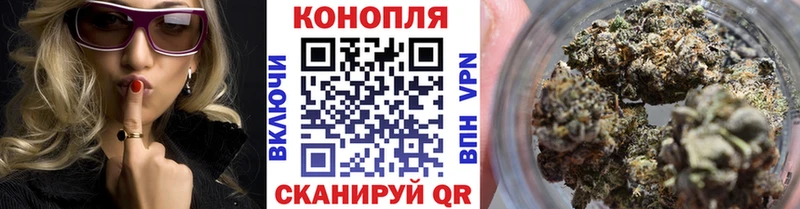 Бошки Шишки планчик  Западная Двина 